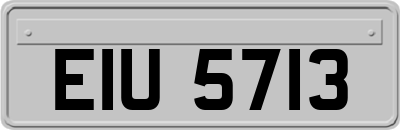 EIU5713