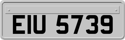 EIU5739
