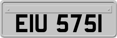 EIU5751