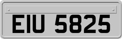 EIU5825