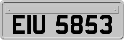 EIU5853