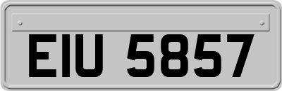 EIU5857