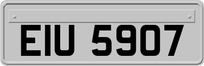 EIU5907