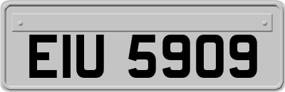 EIU5909