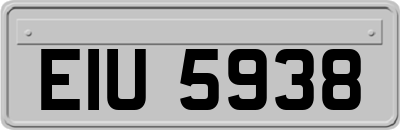 EIU5938