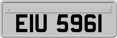 EIU5961