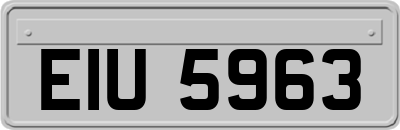 EIU5963