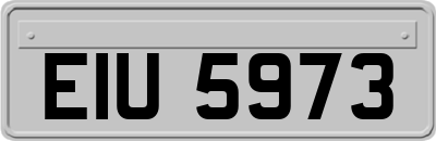 EIU5973