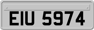 EIU5974