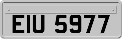 EIU5977