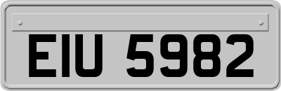 EIU5982