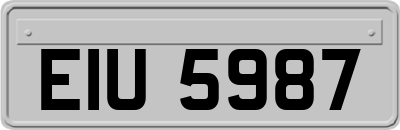 EIU5987