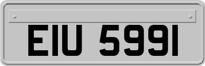 EIU5991