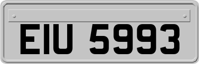 EIU5993