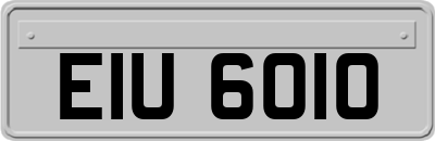 EIU6010