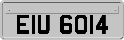 EIU6014