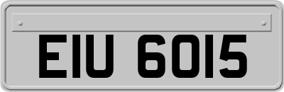 EIU6015