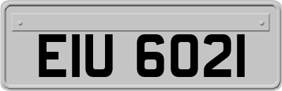 EIU6021
