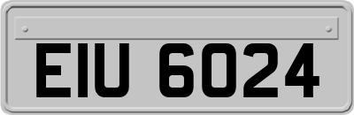 EIU6024