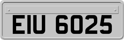 EIU6025