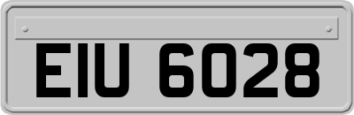EIU6028