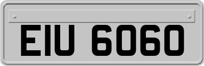 EIU6060