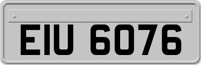 EIU6076
