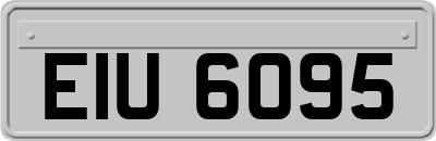 EIU6095