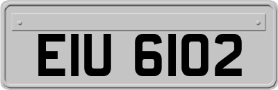 EIU6102