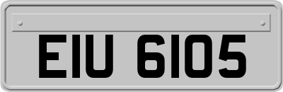 EIU6105