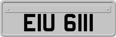 EIU6111