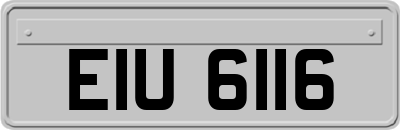 EIU6116