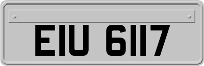 EIU6117