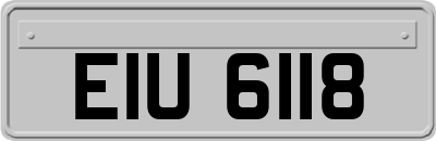 EIU6118