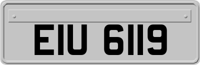 EIU6119