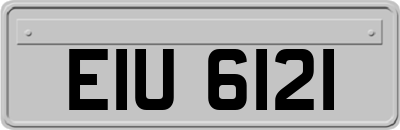 EIU6121