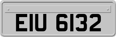 EIU6132