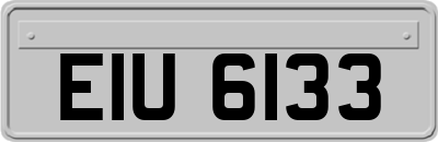 EIU6133