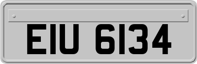 EIU6134
