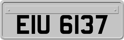EIU6137