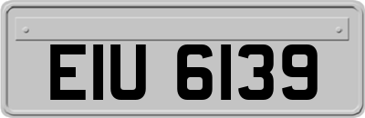 EIU6139