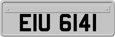EIU6141