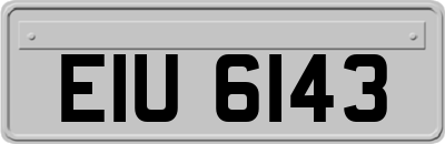 EIU6143