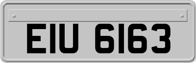 EIU6163