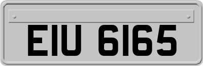 EIU6165