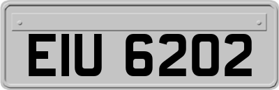 EIU6202