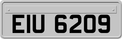 EIU6209