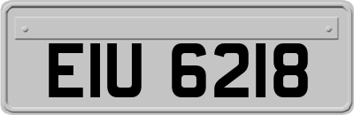 EIU6218