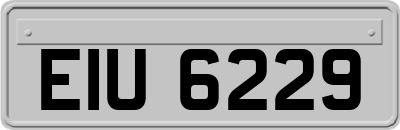 EIU6229