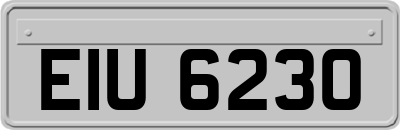 EIU6230